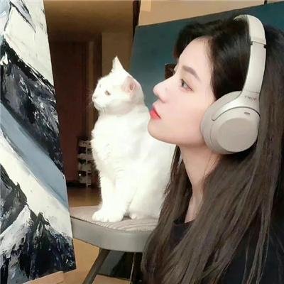 开封奇谈
